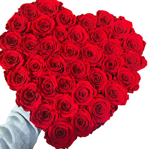 Paris- Preserved Roses