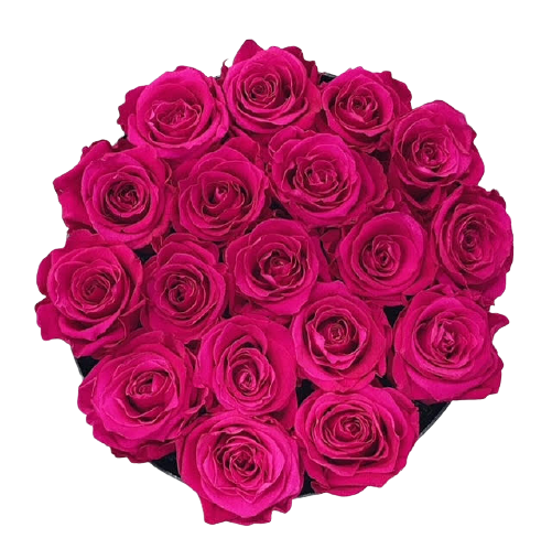 Italy - Preserved Roses