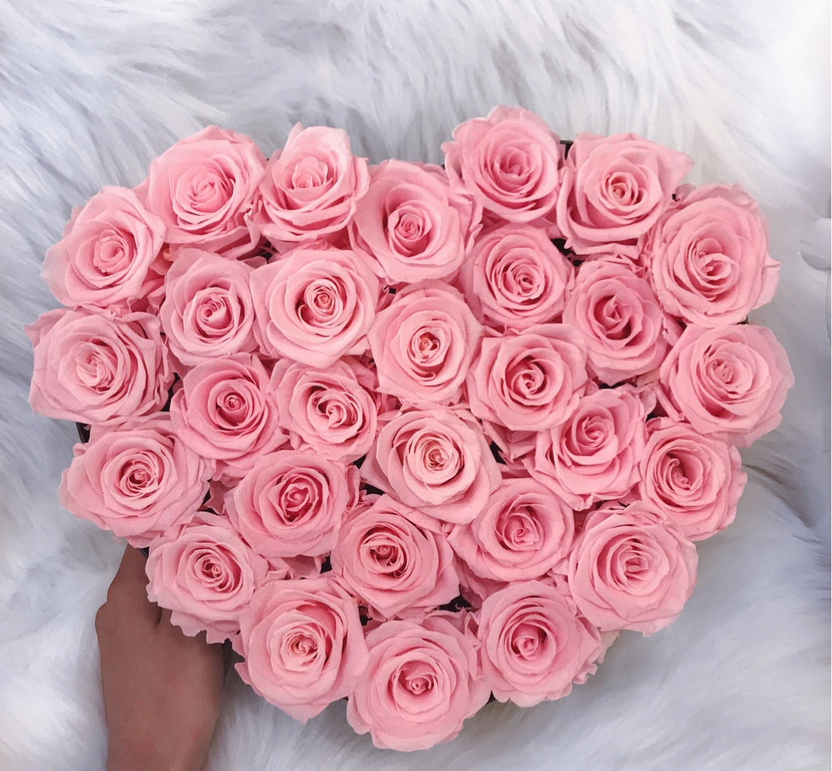 Sakura - Preserved Roses