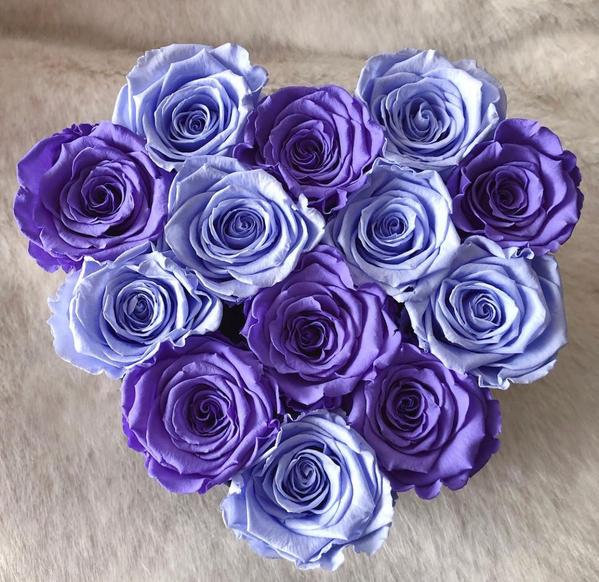 Morocco - Preserved Roses
