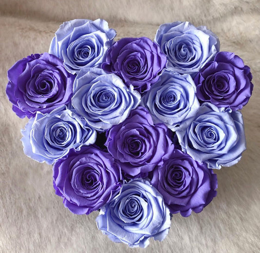 Morocco - Preserved Roses